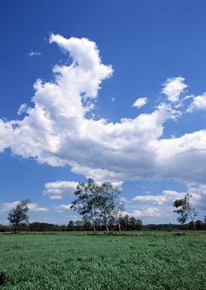 香典返しを通販で販売する会社について