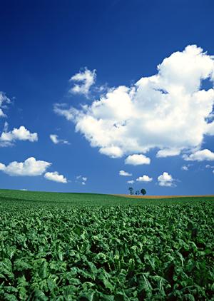 静岡県浜松市で選ばれる家族葬の専門斎場：家族葬のタクセル天竜川駅前の魅力と特徴