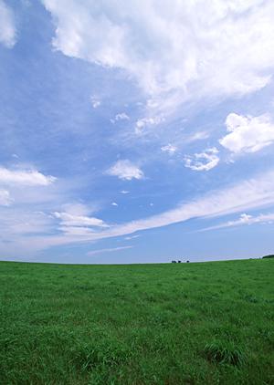 静岡市駿河区の信頼と実績を誇る富士葬祭 中村町｜家族葬・少人数葬儀に最適な斎場とサービス