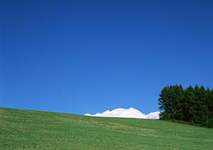 【富士宮市・家族葬を安心・上質に】富士葬祭 田中町の葬儀サービスと特徴解説