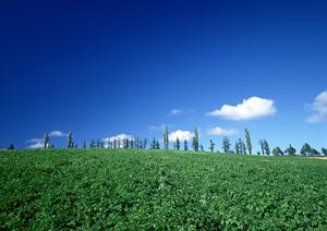 静岡県富士市の安心・低価格な家族葬専門斎場｜家族葬のタクセル天間の特徴とサービス詳細