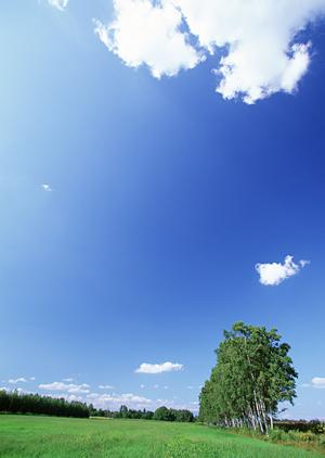 自然に溶け込むおしゃれなモダン仏壇