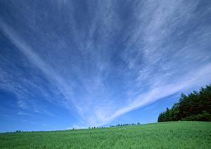 富士市松岡の安心葬儀を実現する【富士葬祭 富士松岡】 斎場と家族葬の詳細ガイド