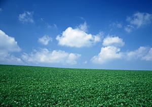 家族の安全と幸福を考える方必見！鹿児島で地域密着の低予算家族葬をご提案