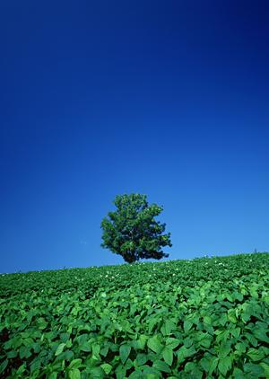 静岡市の安心・信頼の葬儀場【富士葬祭 材木町】｜家族葬・一般葬まで多彩なプランと便利なアクセス