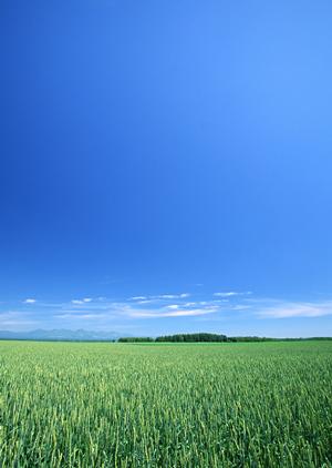 掛川市にある富士葬祭の公式葬儀場紹介と特徴・利点：ご家族に優しい安心の葬儀サービス