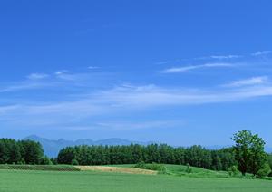浜松市中央区に位置する富士葬祭植松町：モダンな家族葬と安心の葬儀サポートを提供