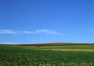 低料金で海洋散骨をしたい方におすすめ