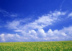 静岡市の家族葬・一般葬に対応した安心の葬儀場【富士葬祭 清水有東坂】のご案内