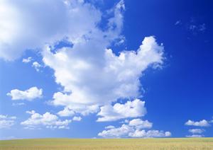 静岡市における安心の葬儀サービスを提供する富士葬祭 みずほの紹介