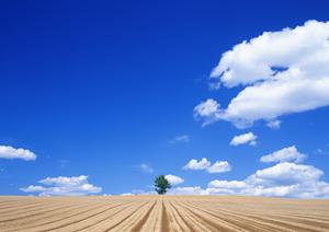 静岡市清水区の家族葬に最適な斎場【家族葬のタクセル西久保】徹底解説