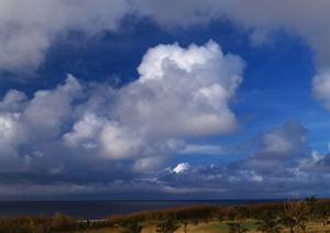 徳島で家族葬をしてもらうためには