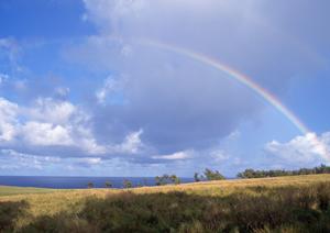 静岡県の家族葬に最適な葬儀・斎場サービス：低価格と充実の施設を提供する【家族葬のタクセル】