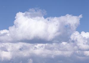 永代供養をしっかりと行っている寺院