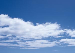 静岡市駿河区に新規オープン！低価格で安心の家族葬専門斎場「家族葬のタクセル大和」完全ガイド