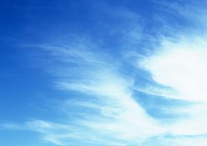 東京都内で永代供養を検討している方におすすめ