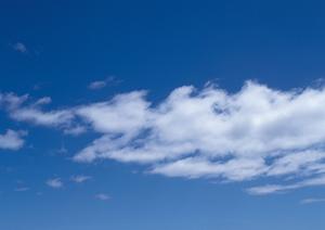 自然の中で埋葬したいと考えている人