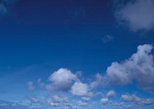 【403 Forbidden】アクセスできない原因と解決策｜安全なウェブ閲覧のためのポイント解説