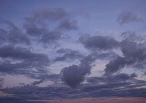 静岡県藤枝市の信頼できる家族葬と葬儀場【富士葬祭 藤枝御苑】の詳細解説と最新情報