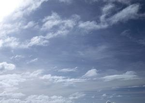 名古屋の新しい納骨法導入をしている寺院