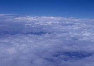 仙台近郊にある美しい樹木葬墓地