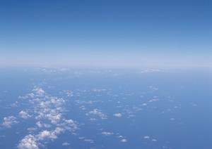 本性寺で永代供養を検討してみませんか