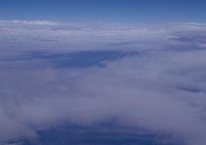 静岡で永代供養墓を運営している寺院